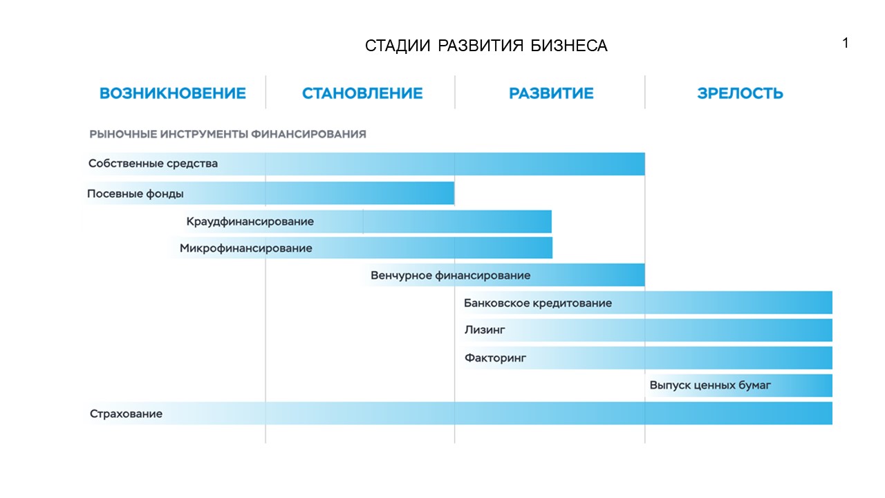 Льготное кредитование малого бизнеса: условия и возможности